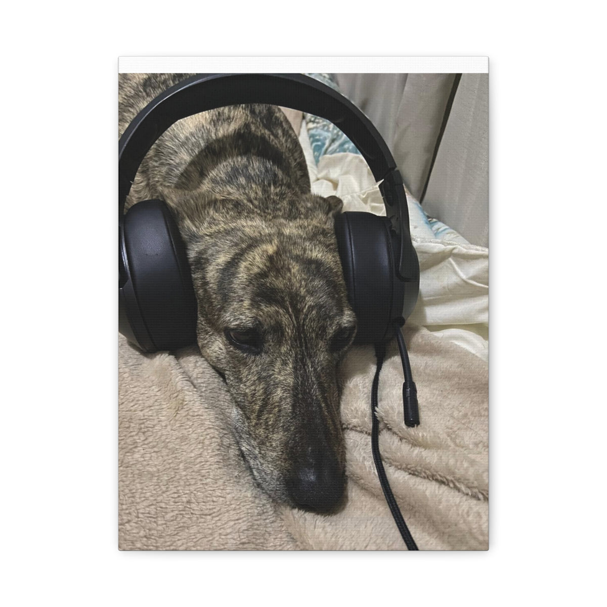 Custom Pet Portrait on Canvas – Your Pet as Royalty