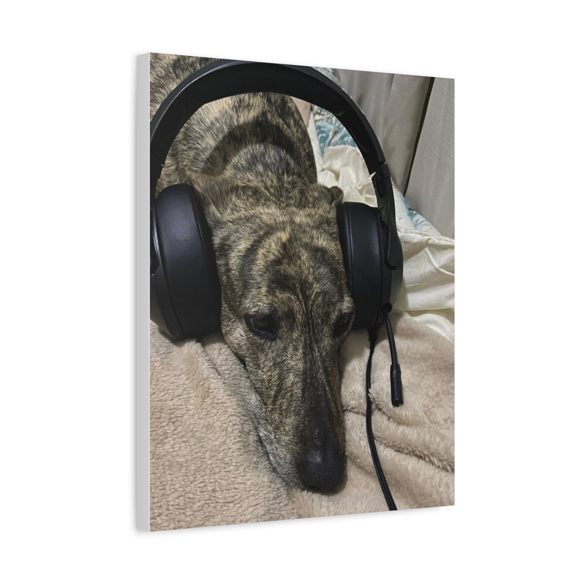 Custom Pet Portrait on Canvas – Your Pet as Royalty